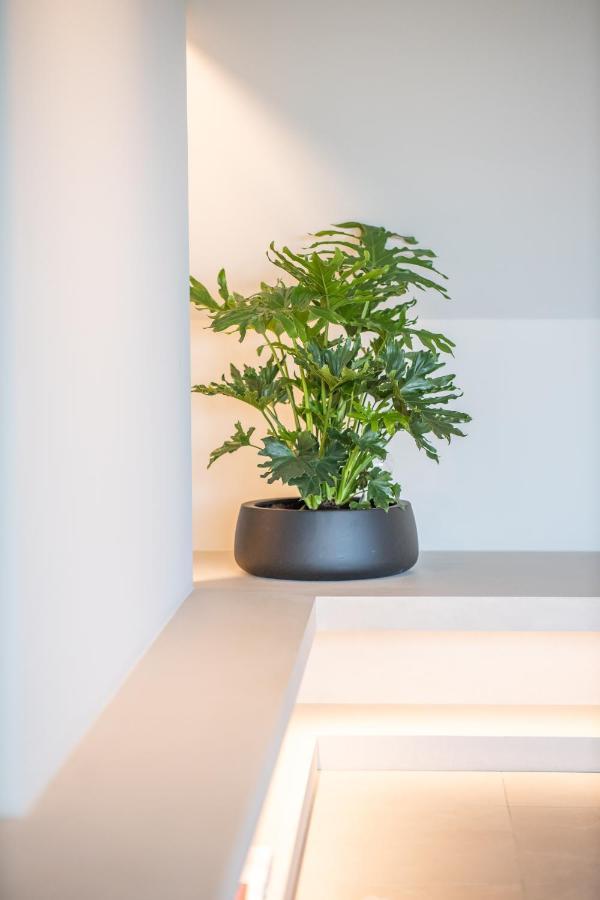 The Penthouse Nami, Branding, Ultra Luxurious Japanese Design Sea View Apartment Cadzand Exterior photo